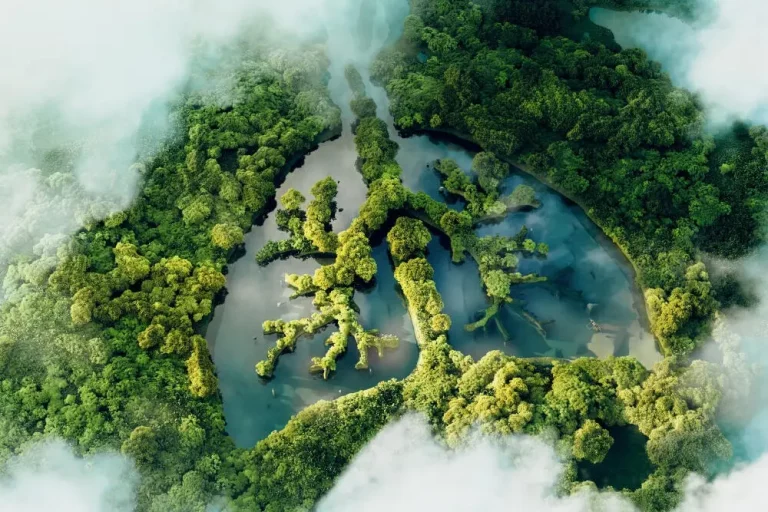 9 najlep&scaron;&iacute;ch byliniek pre očistu pľ&uacute;c a podporu d&yacute;chania